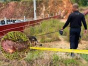 Mayat bayi tidak cukup sifat ditemui di Penampang