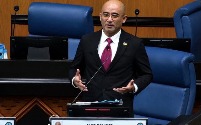 Gangguan monyet semakin berleluasa, mini Zoo dicadang jadi tarikan pelancongan di Balung