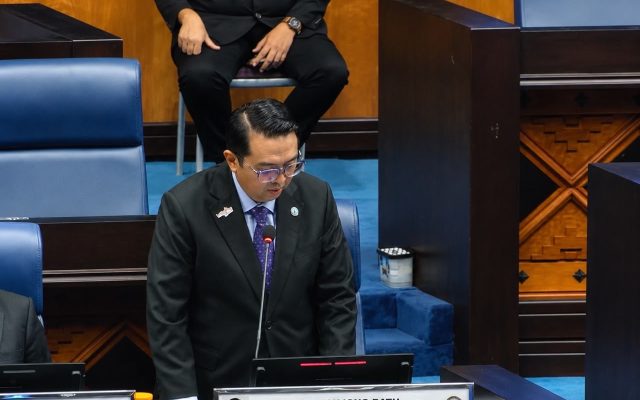 Tawau dicadang jadi lokasi hab perlindungan gajah Borneo