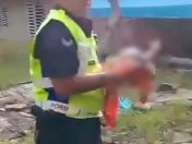 Bayi perempuan ditemukan dalam semak, polis kesan ibu kandung