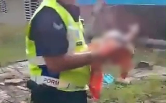 Bayi perempuan ditemukan dalam semak, polis kesan ibu kandung