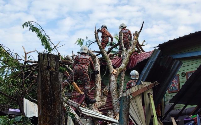 Tiga beranak cedera rumah dihempap pokok tumbang