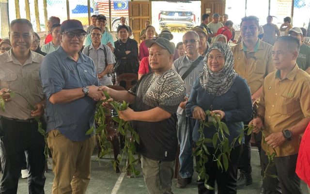 Pengusaha Pelancongan Kiulu Terima 1,000 Tunas Vanila