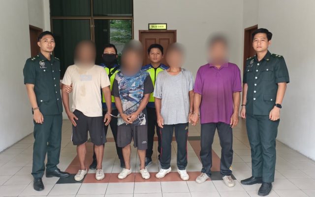 Tebang pokok, ceroboh santuari hidupan liar, empat lelaki dipenjara lapan bulan