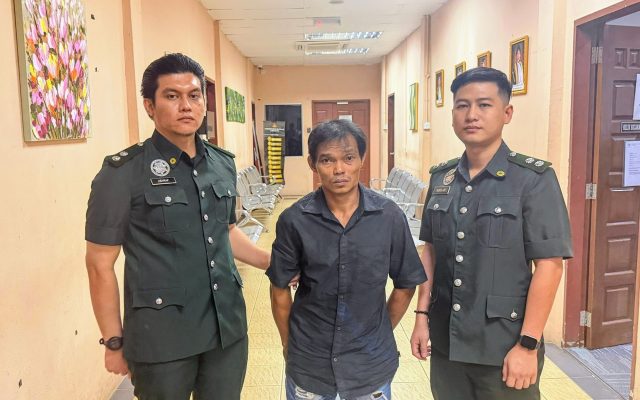 Miliki beruk, tenggiling tanpa kebenaran, lelaki dipenjara