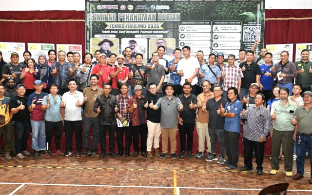 Sabah perlu contohi Thailand perkasa kebun dapur, durian premium