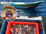 Lari terjun laut, 80kg ikan disyaki hasil bom dirampas