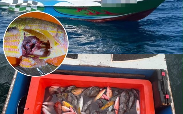 Lari terjun laut, 80kg ikan disyaki hasil bom dirampas