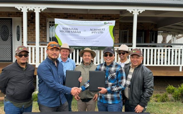 Sabah mahu perkasa industri lembu pedaging dengan baka berkualiti