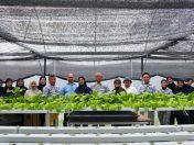 Kerjasama UMS-BAKAT Kem MAWILLA 2, Sandakan perkasa komuniti menerusi projek hidroponik pintar