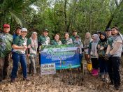Sabah Electricity sasar tanam 500 pokok bakau, lindungi habit kelip-kelip