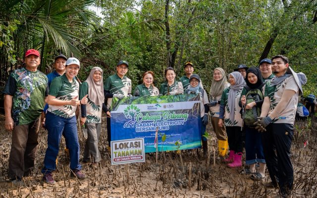 Sabah Electricity sasar tanam 500 pokok bakau, lindungi habit kelip-kelip