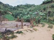 Tanah runtuh jejaskan beranda Nikie Villa di Kundasang
