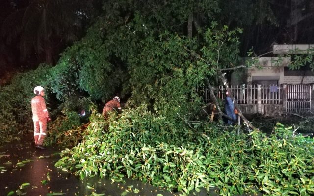 Pokok tumbang hempap dua kereta di Masjid Bandaran KK