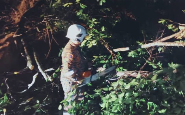 Tanah runtuh, pokok tumbang halang laluan di RNR Taviu Spring