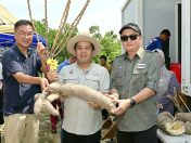 Sri Kanji berpotensi tingkat pendapatan pekebun