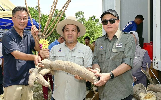 Sri Kanji berpotensi tingkat pendapatan pekebun