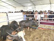 HPPNS tarik 25,000 pengunjung, bukti potensi pertanian luar bandar Sabah