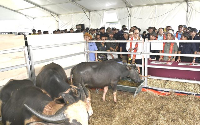 HPPNS tarik 25,000 pengunjung, bukti potensi pertanian luar bandar Sabah