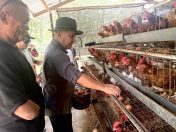 Industri madu berpotensi bantu kurangkan kemiskinan luar bandar