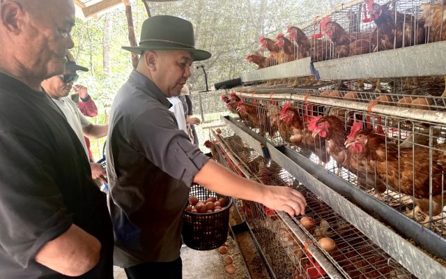 Industri madu berpotensi bantu kurangkan kemiskinan luar bandar